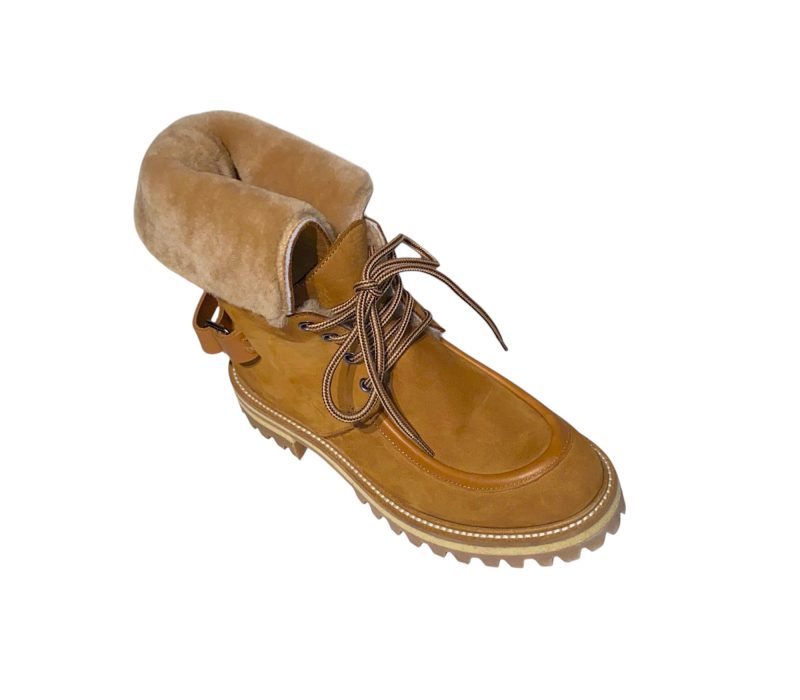 CGS Donna AI 25 05